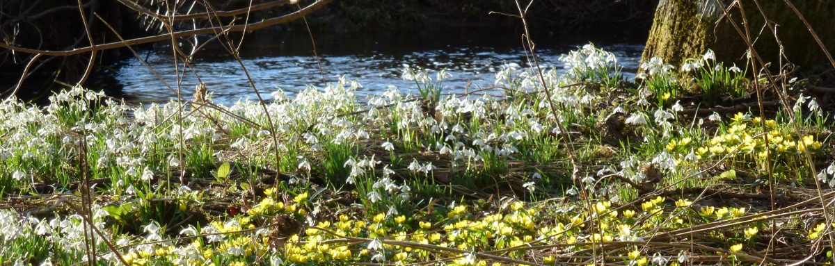 The Artist in Studio Hundy
